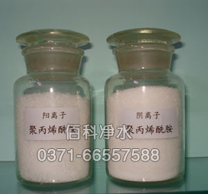 2000�f(w��n)�����ИI(y��)�þ۱�ϩ����